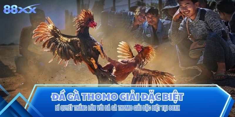 Bí Quyết Thắng Lớn Với Đá Gà Thomo Giải Đặc Biệt Tại 88XX